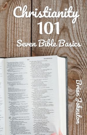 Christianity 101: 7 Bible Basics image number 0