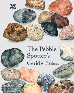 The Pebble Spotter's Guide image number 0