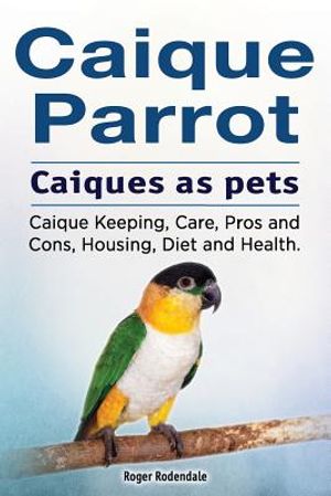 Caique parrot. Caiques as pets. Caique Keeping, Care, Pros and Cons, Housing, Diet and Health. image number 0