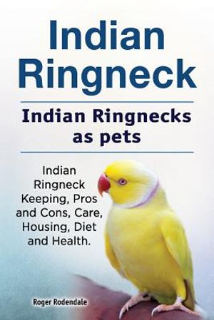 Indian Ringneck. Indian Ringnecks as pets. Indian Ringneck Keeping, Pros and Cons, Care, Housing, Diet and Health. image number 0