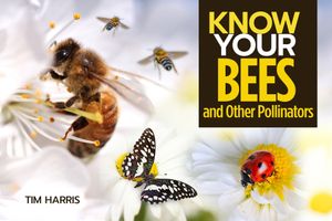 Know Your Pollinators image number 0