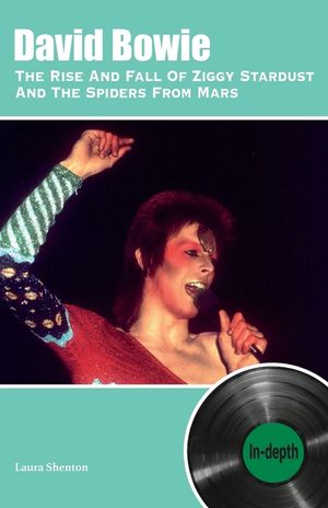 David Bowie The Rise And Fall Of Ziggy Stardust And The Spiders From Mars: In-depth image number 0