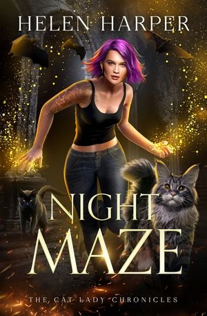 Night Maze image number 0