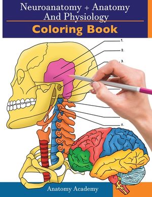 Neuroanatomy + Anatomy and Physiology Coloring Book: 2-in-1 Collection Set Incredibly Detailed Self-Test Color workbook for Studying and Relaxation image number 0