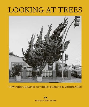 Looking at Trees: New Photography of Trees, Forests and Woodlands image number 0