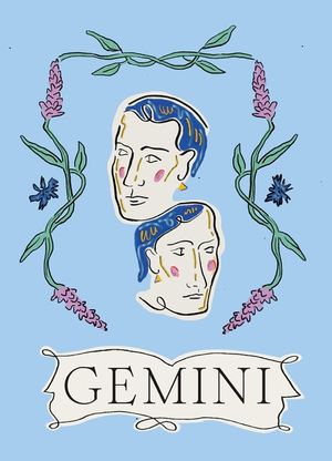 Gemini image number 0