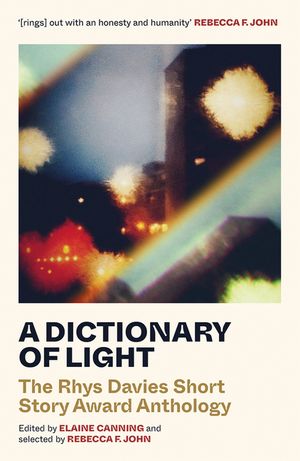 A Dictionary of Light: The Rhys Davies Short Story Award Anthology image number 0