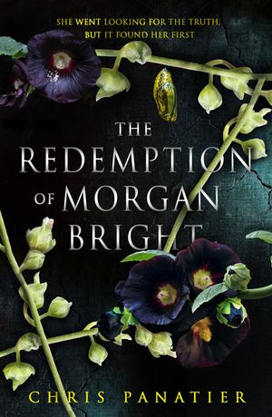 The Redemption of Morgan Bright image number 0
