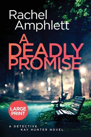 A Deadly Promise: A Detective Kay Hunter crime thriller (large print) image number 0