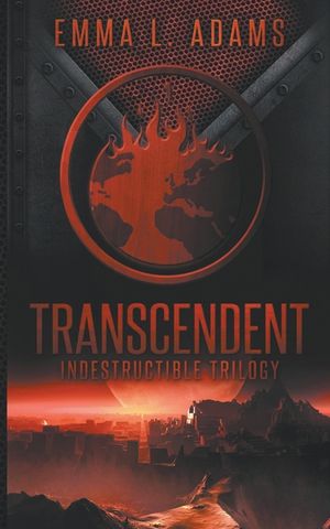 Transcendent image number 0