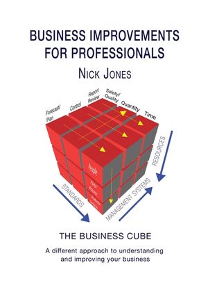 Business Improvements for Professionals: The Business Cube image number 0