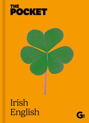 The Pocket Irish-English image number 0