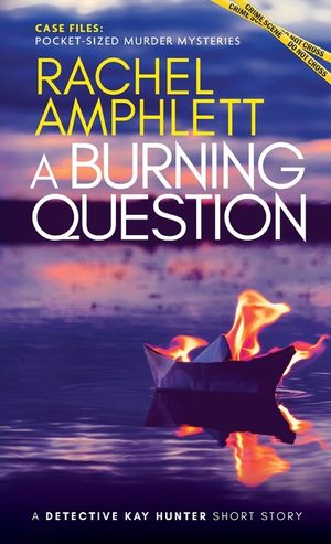 A Burning Question: A Detective Kay Hunter short story image number 0