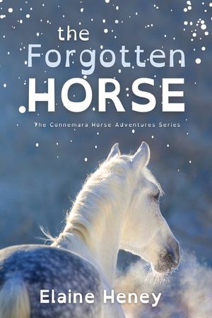 The Forgotten Horse - Dyslexia Friendly image number 0