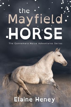 The Mayfield Horse - Dyslexia Friendly image number 0