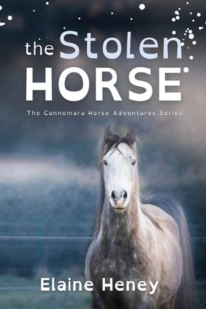 The Stolen Horse - Dyslexia Friendly image number 0