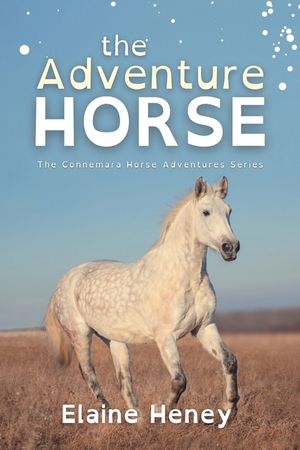The Adventure Horse - Dyslexia Friendly image number 0