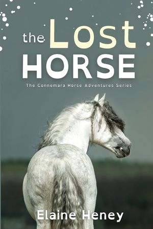 The Lost Horse - Dyslexia Friendly image number 0