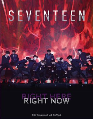 Seventeen: Right Here, Right Now image number 0