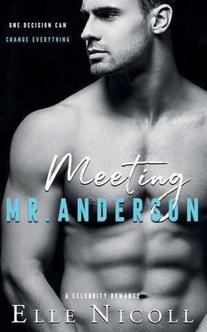 Meeting Mr. Anderson: A Celebrity Romance image number 0