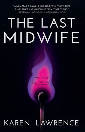 The Last Midwife image number 0