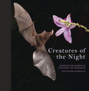 Creatures of the Night image number 0