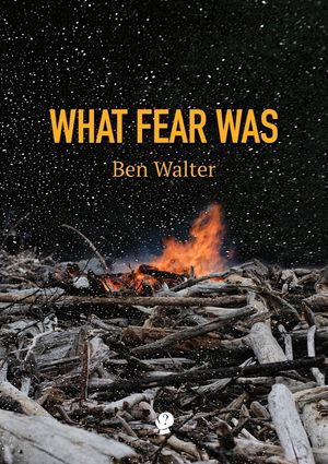 What Fear Was image number 0