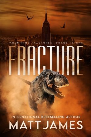 Fracture image number 0