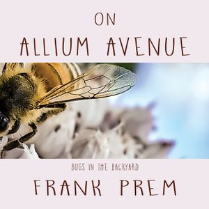 On Allium Avenue: Bugs in the Backyard image number 0