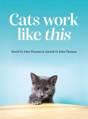 Cats Work Like This image number 0