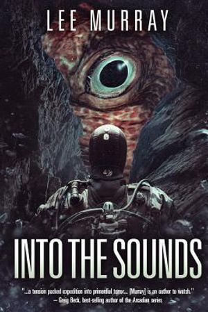 Into The Sounds image number 0
