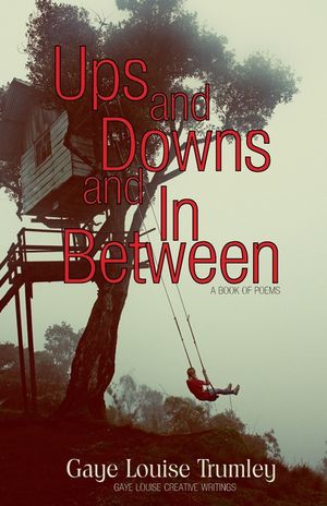 Ups and Downs and In Between image number 0
