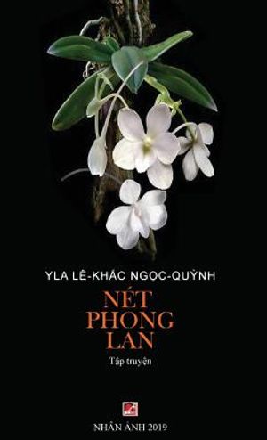 N&eacute;t Phong LAN image number 0
