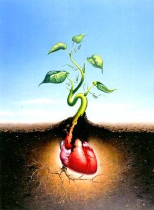 Tulip Farms and Leper Colonies image number 0