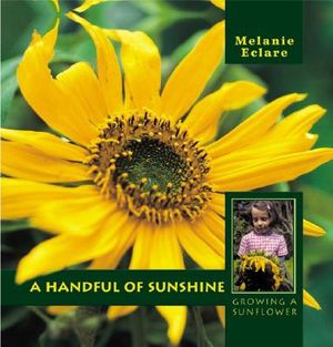 A Handful of Sunshine- Growing a Sunflower image number 0