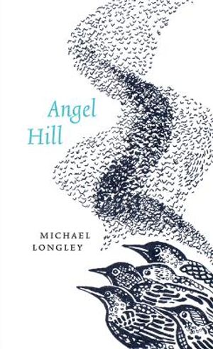 Angel Hill image number 0