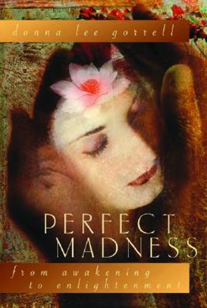 Perfect Madness: From Awakening to Enlightenment image number 0