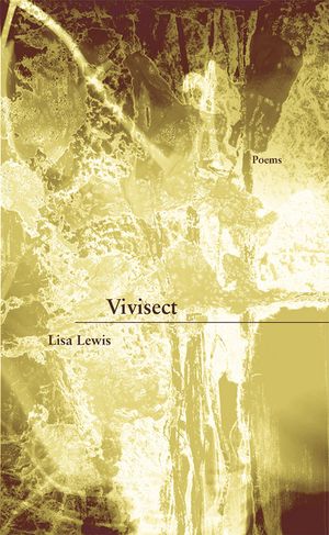 Vivisect image number 0