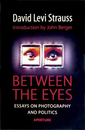 Between the Eyes : Essays on Photography image number 0