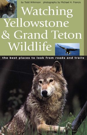 Watching Yellowstone & Grand Teton Wildlife image number 0