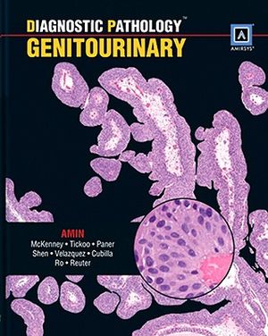 Diagnostic Pathology: Genitourinary: Published by Amirsys(r) image number 0