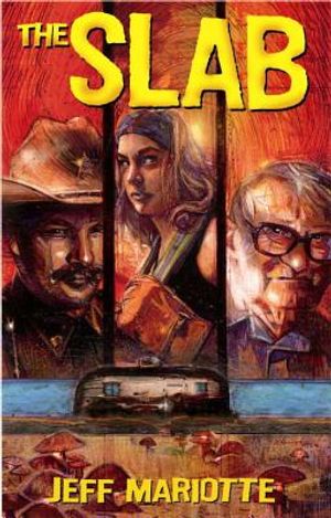 The Slab image number 0