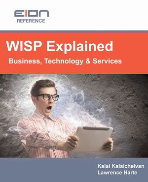 WISP Explained: Business, Services, Systems and Operation image number 0