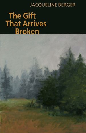 The Gift That Arrives Broken image number 0