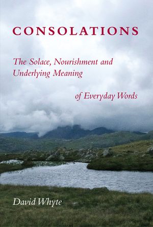 Consolations: The Solace, Nourishment and Underlying Meaning of Everyday Words image number 0