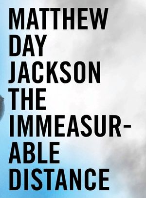 Matthew Day Jackson: The Immeasurable Distance image number 0