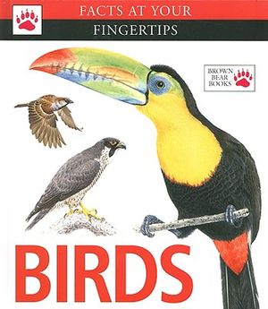 Birds image number 0