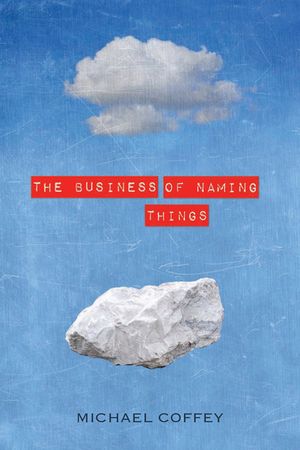 The Business of Naming Things image number 0