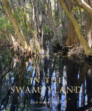 In the Swampyland image number 0