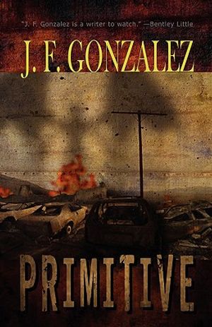 Primitive image number 0